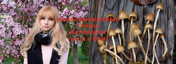 амфетамин Абинск