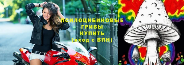 прущая мука Абаза