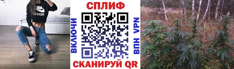 Бошки Шишки MAZAR  купить  цена  кракен ONION  Власиха 